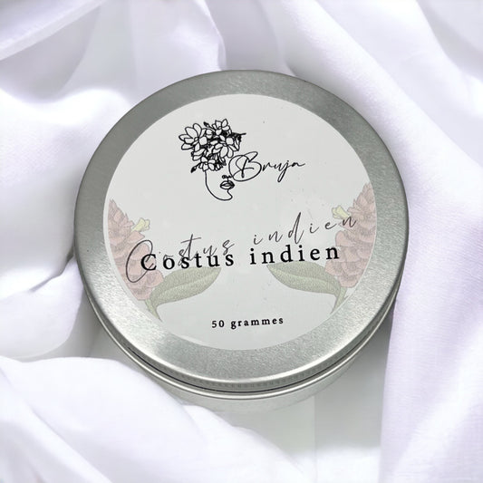 Costus indien
